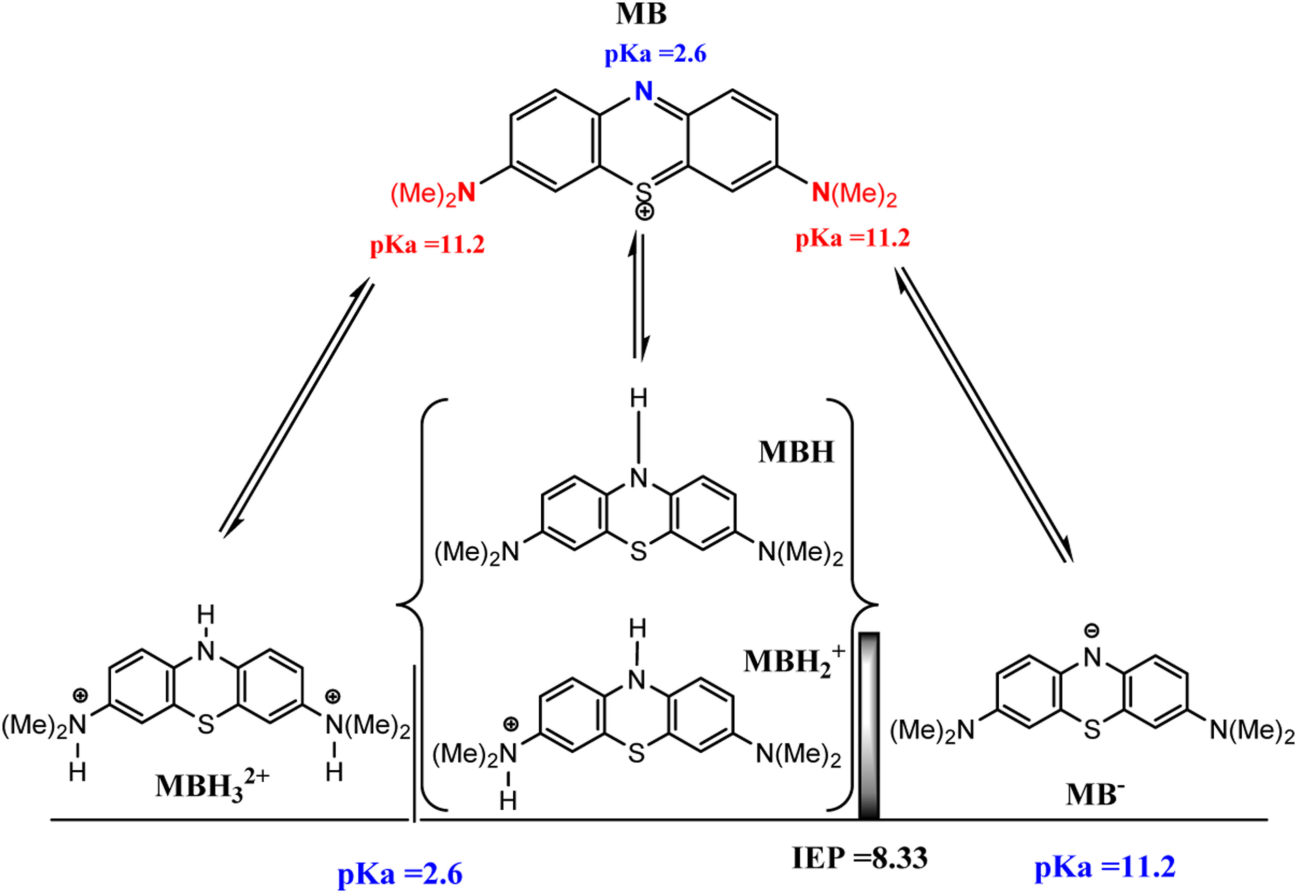 Methylene Blue Protonation States and pKa Values Chemical diagram of methylene blue showing its protonation states, pKa values, and isoelectric point.