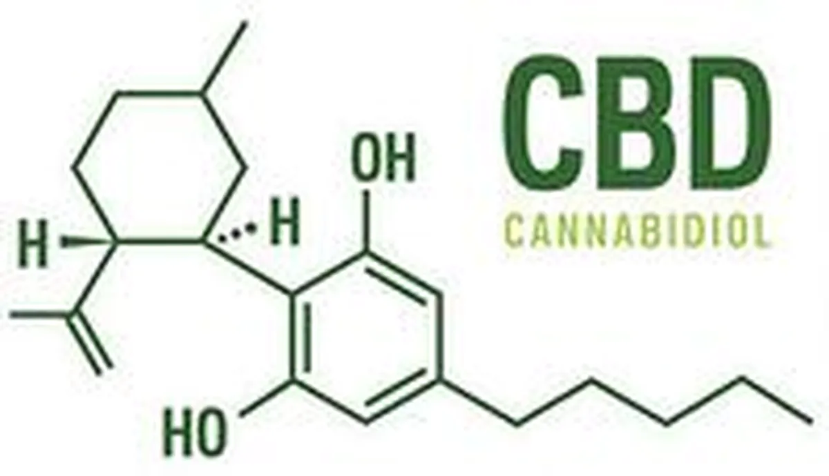 Cannabis & Cancer