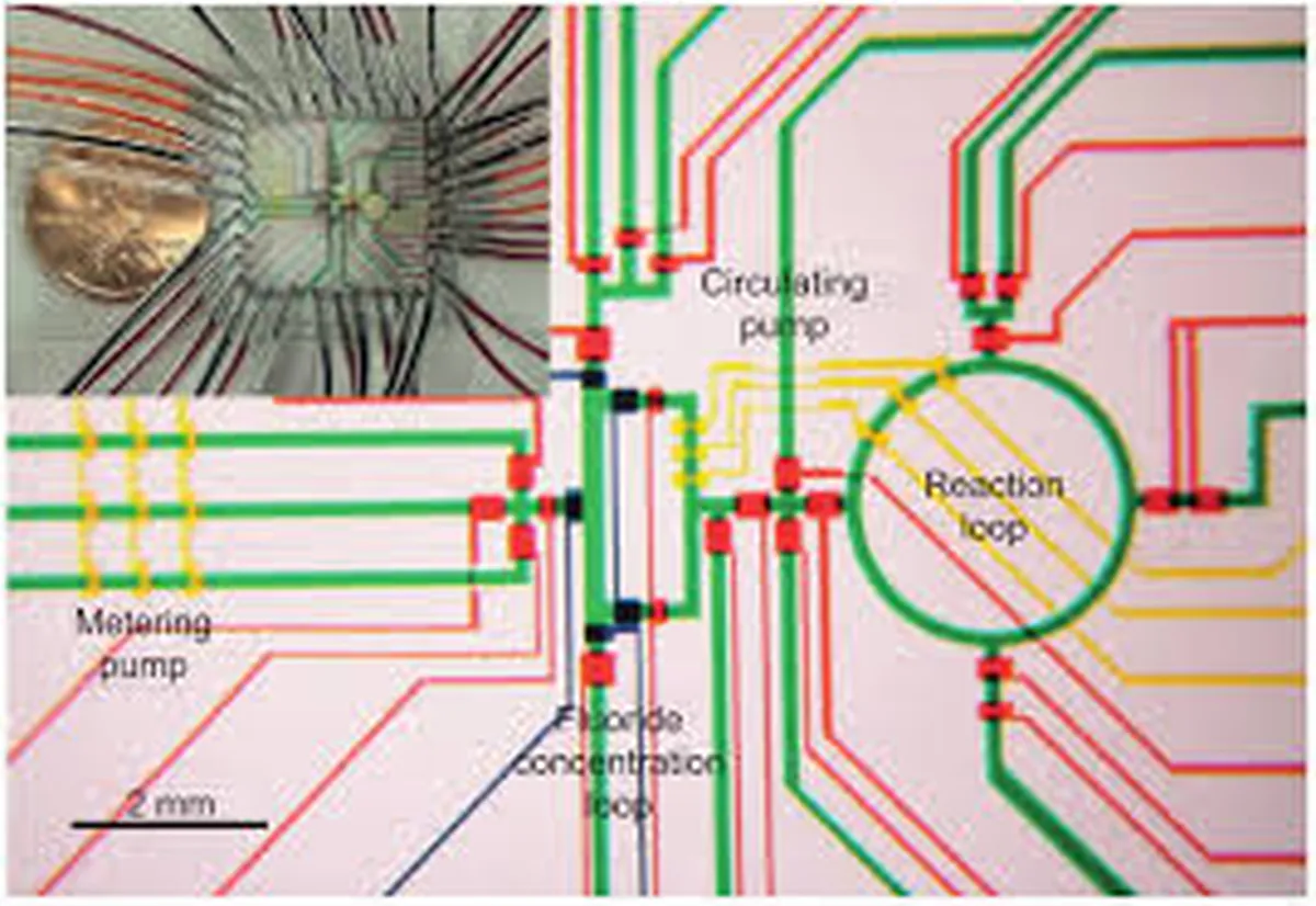 Microfluidics Schematic - Fluid Flow Pathways Microfluidics schematic showing fluid flow pathways and components