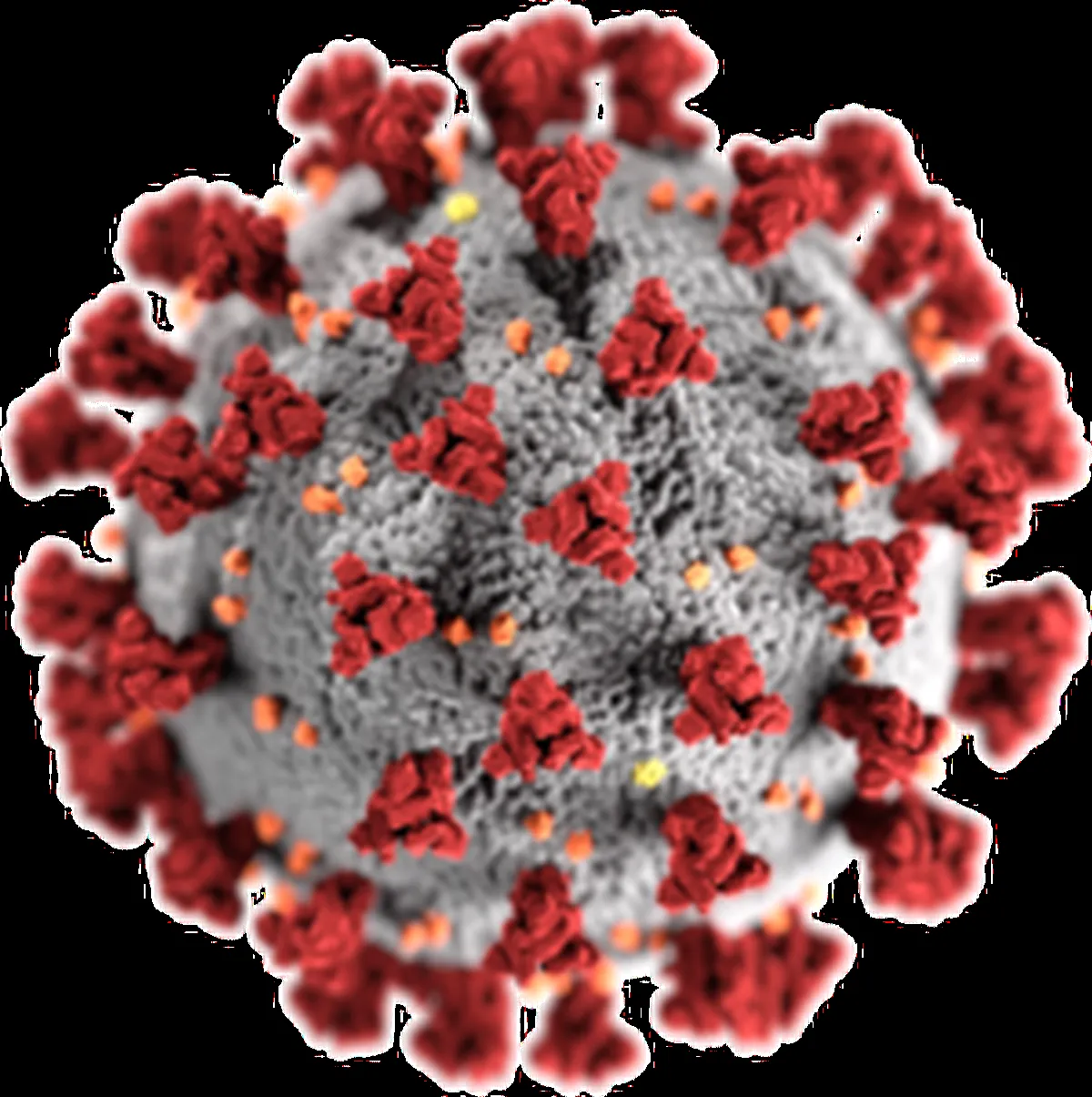 Coronavirus Disease (COVID-19) | The Daily Dialectics